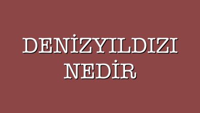 Photo of Denizyıldızı Nedir?